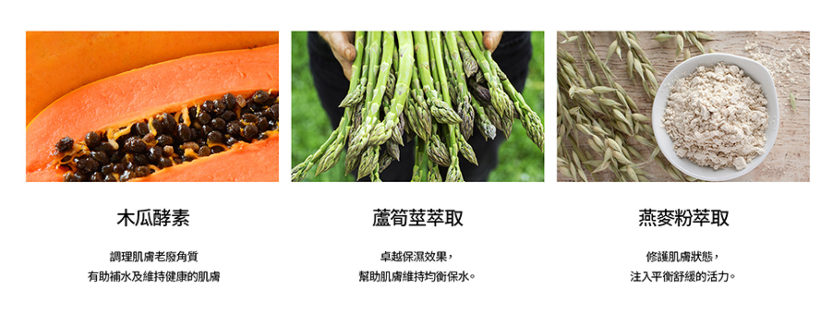 亮肌潔顏粉 Active Clean Up Powder